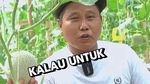 Narji Kini Jadi Juragan Lahan, Jago Tanam Kangkung hingga Melon Manis!