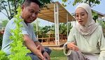 Narji Kini Jadi Juragan Lahan, Jago Tanam Kangkung hingga Melon Manis!