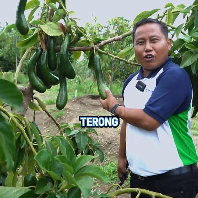 Narji Kini Jadi Juragan Lahan, Jago Tanam Kangkung hingga Melon Manis!