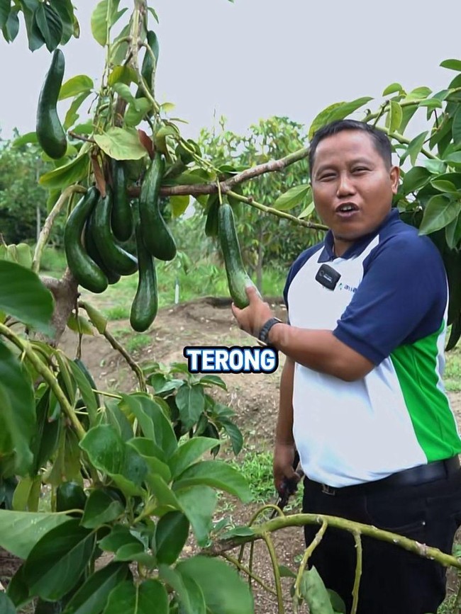 Narji Kini Jadi Juragan Lahan, Jago Tanam Kangkung hingga Melon Manis!