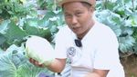 Narji Kini Jadi Juragan Lahan, Jago Tanam Kangkung hingga Melon Manis!