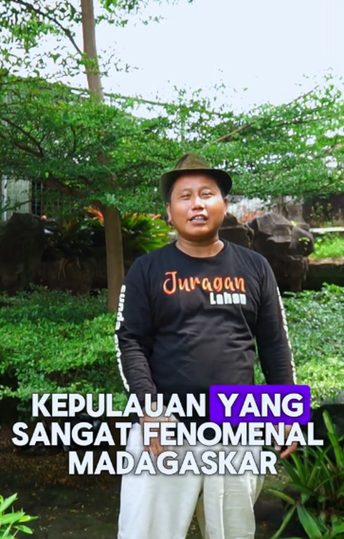 Narji jadi petani punya hasil panen yang beragam.