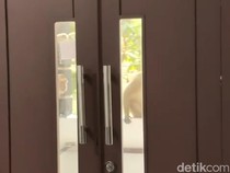 Kala Kawanan Monyet Kurung Warga Tasikmalaya di Dalam Rumah