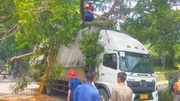 Pohon tumbang di Bogor (dok. Istimewa)
