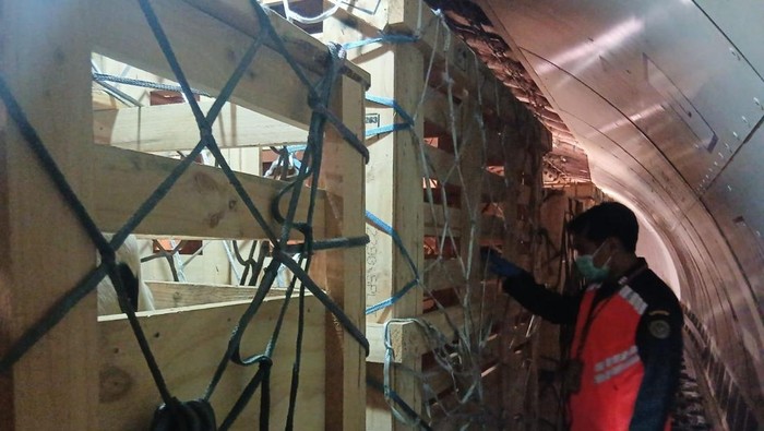 Ratusan hewan ternak asal Australia telah mendarat di Indonesia melalui melalui Bandara Internasional Juanda, Jawa Timur. Ternak yang didatangkan terdiri atas 23 ekor sapi perah, 35 ekor unta, serta 145 ekor domba dari jenis Texel, Suffolk, dan Dorpe