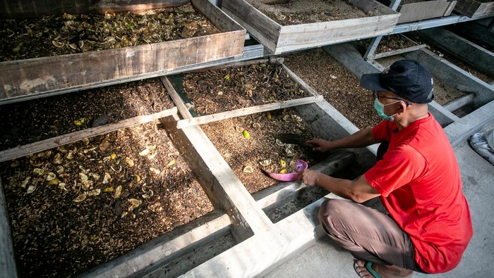 Pekerja memberi ayam makanan berupa maggot hasil budi daya di dapur Satuan Pelayanan Pemenuhan Gizi (SPPG) Pimpinan Daerah Aisyiyah (PDA), Sukoharjo, Jawa Tengah, Kamis (16/4/2026). SPPG tersebut mengatasi persoalan limbah organik sisa produksi dengan membudidayakan maggot dan dimanfaatkan kembali untuk produksi pangan mandiri berkonsep homestead yaitu untuk dijual, pakan ternak dan pupuk organik untuk sayuran. ANTARA FOTO/Mohammad Ayudha