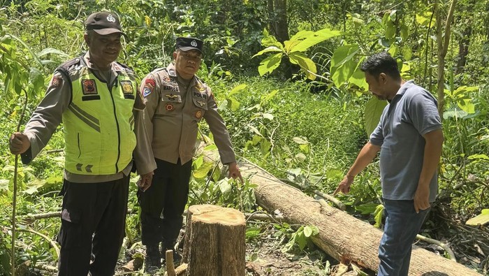 TKP korban tewas tertimpa kayu jati di kawasan hutan Petak 36 B2 RPH Lengkong, BKPH Karangrayung, KPH Tlawah, Dusun Lengkong, Desa Ketro, Kecamatan Karangrayung, Kabupaten Grobogan, Kamis (16/4/2026).