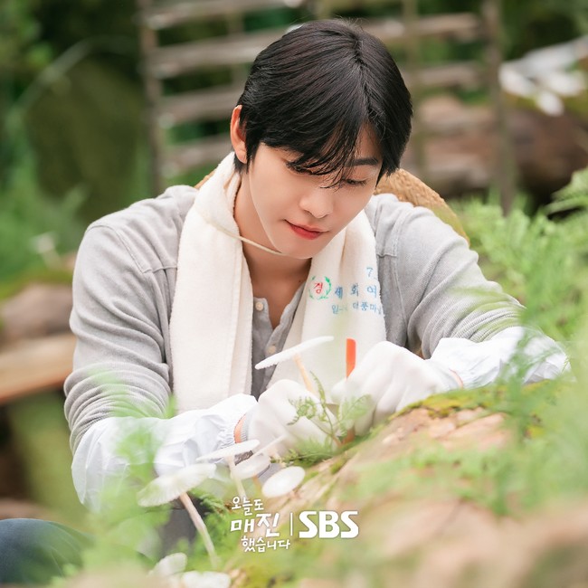 Karakternya, Matthew Lee dikenal sebagai petani jenius yang membudidayakan jamur nuri bunga putih di Desa Deokpung. Tak sedikit yang mengincar tanamannya karena menjadi bahan skincare mujarab di industri kecantikan. Foto: dok. SBS