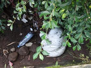 Temuan Karung Bau Bangkai di Gedaren Klaten Bikin Geger, Ternyata...