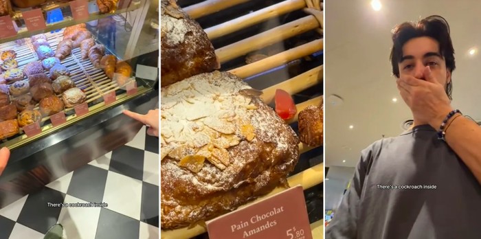 Viral! Kecoak Ada di Etalase Roti di Bandara Changi, Kafe Langsung Tutup