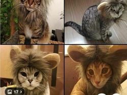 Kompilasi Barang Aneh di Internet, Bikin Geleng Kepala dan Ngakak