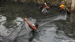 Berantas Ikan Sapu-sapu, Petugas Sisir Kali