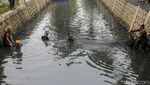 Berantas Ikan Sapu-sapu, Petugas Sisir Kali