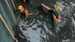 Berantas Ikan Sapu-sapu, Petugas Sisir Kali