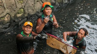 6,9 Ton Ikan Sapu-sapu Ditangkap dari 5 Wilayah Jakarta Hari Ini