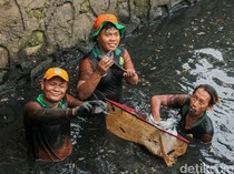 Berantas Ikan Sapu-sapu, Petugas Sisir Kali