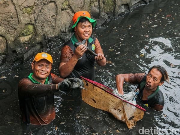 Berantas Ikan Sapu-sapu, Petugas Sisir Kali