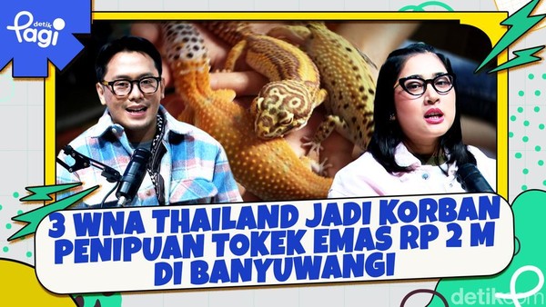 Video: 3 WNA Thailand Jadi Korban Penipuan Tokek Emas Rp 2 M di Banyuwangi