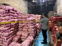 23 Ton Bawang Impor Ilegal Disita Polisi: dari China-Belanda ke Pontianak