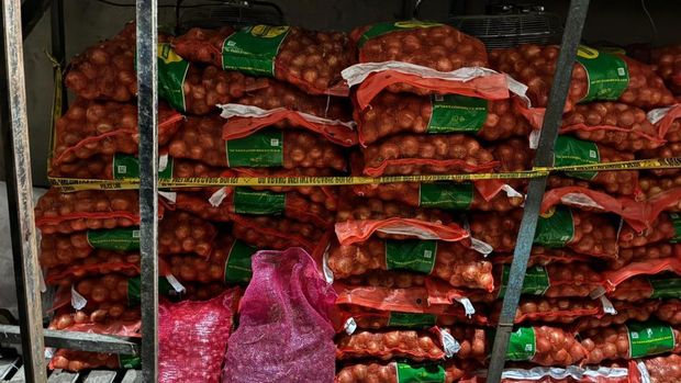 Dittipideksus Bareskrim kembali membongkar kasus penyelundupan barang dari luar negeri. Kali ini, penyelundupan puluhan ton bawang impor ilegal digagalkan. (dok Polri)