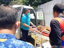 Hilang Saat Bermain, Bocah 5 Tahun di Situbondo Ditemukan Tewas di Sungai