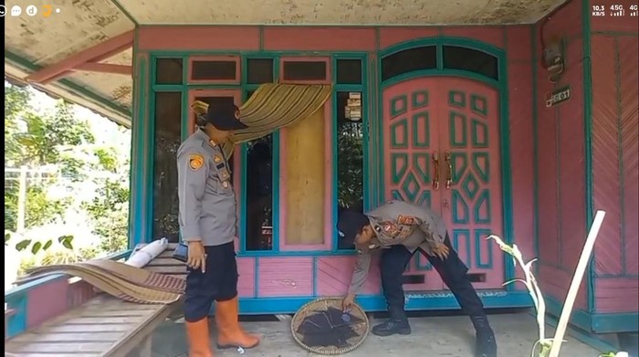 Kawanan monyet serang rumah warga di Tasikmalaya