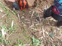 Tanah Pemakaman Cianjur Longsor, 2 Jenazah Tergantung di Tebing