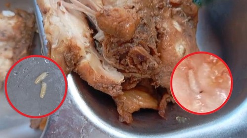 Menu Makan Bergizi Gratis (MBG) berisi ulat di Lembata, NTT. (Tangkapan layar video viral)