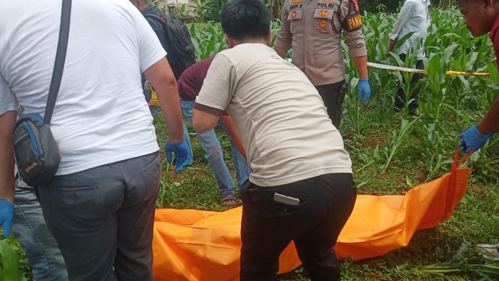 Penemuan mayat pria di tengah kebun jagung kawasan Bogor. (Dok. ist)