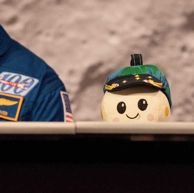 Potret Rise, Karya Bocah 8 Tahun yang Ikut Terbang ke Bulan