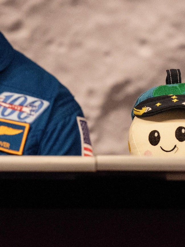 Potret Rise, Karya Bocah 8 Tahun yang Ikut Terbang ke Bulan