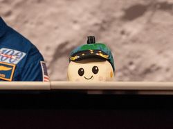 Potret Rise, Karya Bocah 8 Tahun yang Ikut Terbang ke Bulan