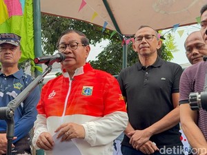 Pramono Ungkap Populasi Ikan Sapu-sapu di Jakarta Tembus 60%
