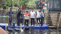 Pramono Tinjau Penangkapan Ikan Sapu-Sapu di Jakut, Hasilnya Tembus 200 Kg