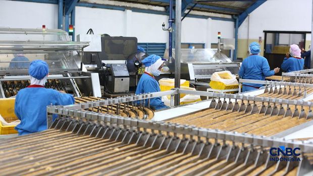 Salah satu produsen dan eksportir biskuit dan wafer asal Indonesia, PT Mega Global Food Industry (Kokola Group) . (CNBC Indonesia/Arrijal)