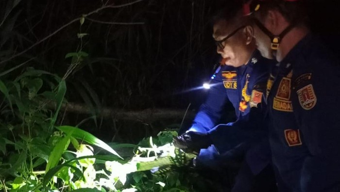 Tim Damkar Kota Semarang saat mengevakuasi seekor ular piton di semak belakang asrama mahasiswa Unnes, Kamis (16/4/2026) malam.