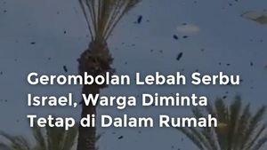Video: Israel Diserang Gerombolan Lebah, Warga Diminta Tetap di Rumah