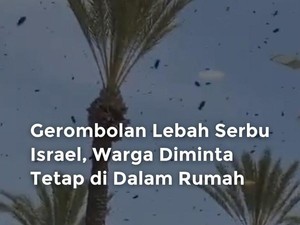 Gerombolan Lebah Muncul di Israel, Warga Diminta Tinggal di Rumah