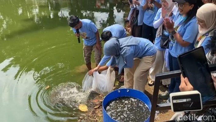 orang tua dan penggemer Vidi tebar ikan di danau TPU Tanah Kusir.