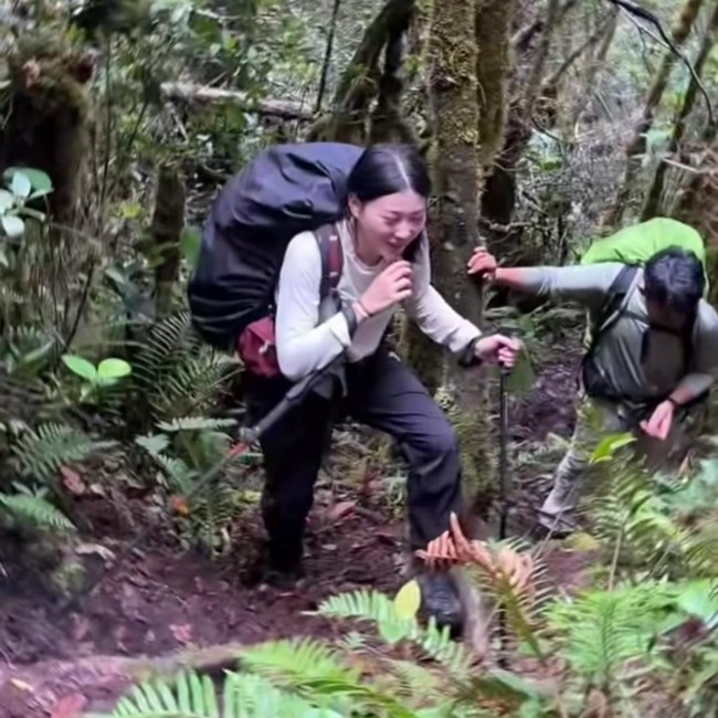 Pendakian Wendy Walters di Gunung Leuser: Minum Air Rawa hingga Hujan Es