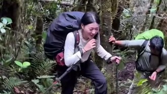 Pendakian Wendy Walters di Gunung Leuser: Minum Air Rawa hingga Hujan Es