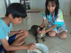 Butuh Hiburan? 15 Foto Ini Bisa Jadi Penawar Sisi Negatif Media Sosial