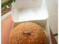 Deretan Momen Lamaran Paling Nyeleneh yang Sempat Vital di Internet