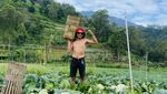 Isa Bajaj Buka Warung Tempong, Pakai Tomat hingga Kol Kebun Sendiri
