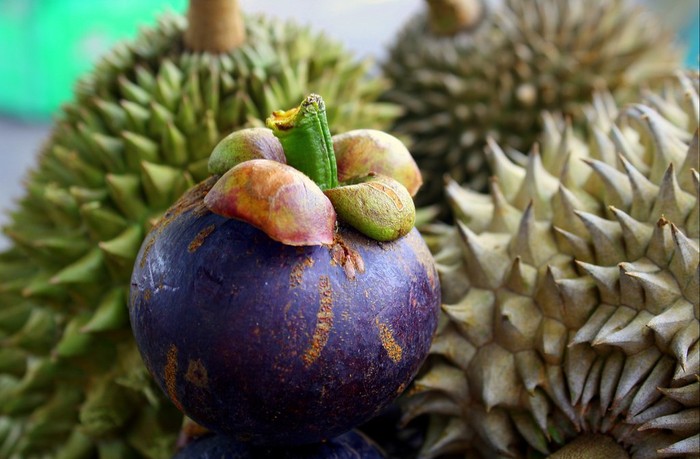 Langka di Pasaran, Harga Manggis Kini Lebih Mahal dari Durian