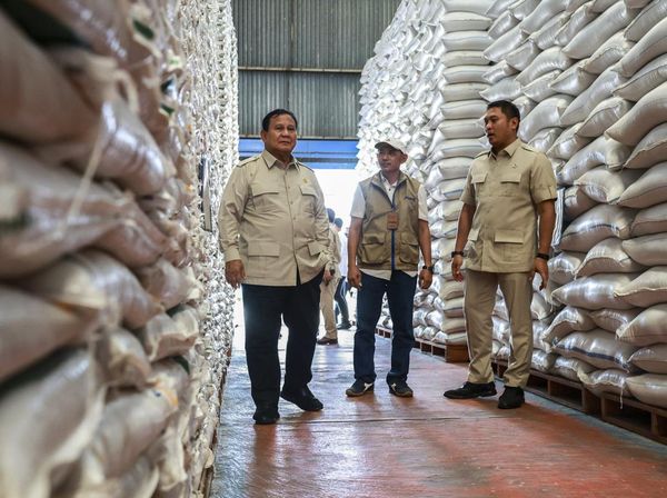 Prabowo Sidak Gudang Bulog di Magelang, Pastikan Stok Beras Aman