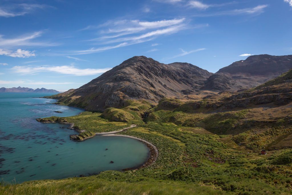 Pulau South Georgia