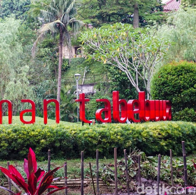 Taman Tabebuya Jadi Ruang Santai di Tengah Kota