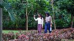 Taman Tabebuya Jadi Ruang Santai di Tengah Kota