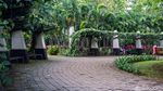 Taman Tabebuya Jadi Ruang Santai di Tengah Kota